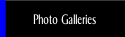 Photo Galleries.