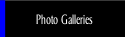 Photo Galleries.