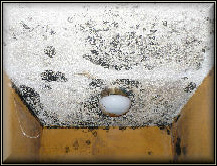 Mold Removal