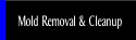 Mold Removal & Cleanup.