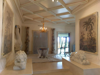 Mold Inspection and Testing Services in Boca Raton, FL - Mold Shark