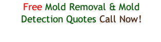 Free Mold Removal & Mold Detection Quotes Call Now!
