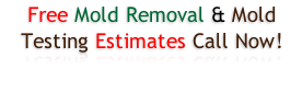 Free Mold Removal & Mold Testing Estimates Call Now!
