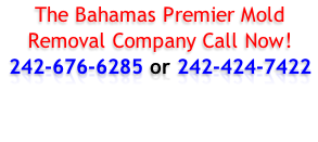 The Bahamas Premier Mold Removal Company Call Now!
242-676-6285 or 242-424-7422
