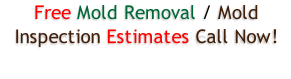 Free Mold Removal / Mold Inspection Estimates Call Now!
